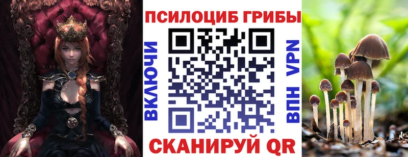 ссылка на мегу зеркало где можно купить Реж Галлюциногенные грибы Magic Shrooms